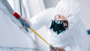 Best Commercial Pest Control  in Chinchilla, PA